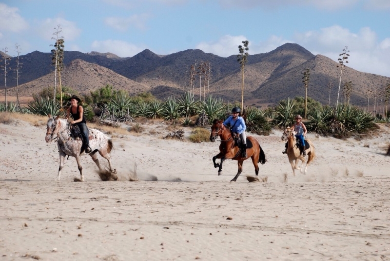 andalousie a cheval