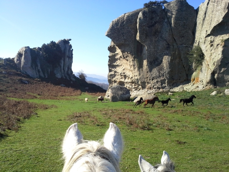 randonnee a cheval en Sicile