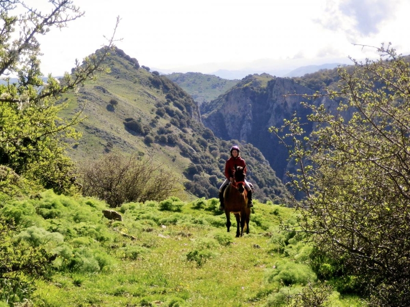 Sicile a cheval