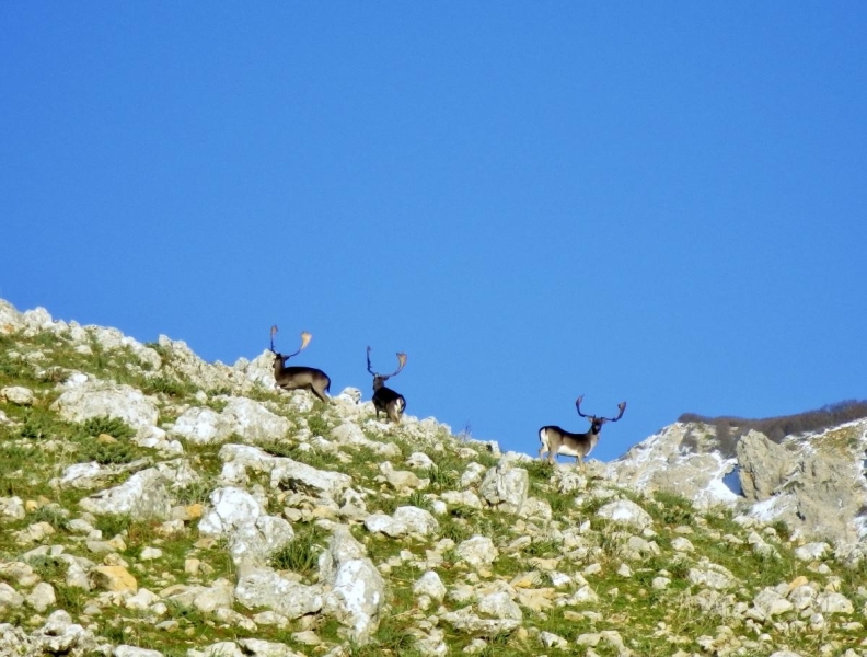 rando a cheval en Sicile