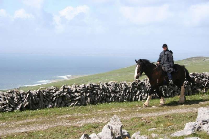 voyage cheval irlande