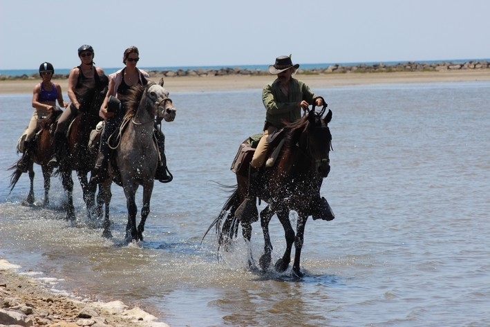 a cheval en camargue