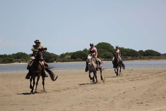 randonnée à cheval confort en Camargue