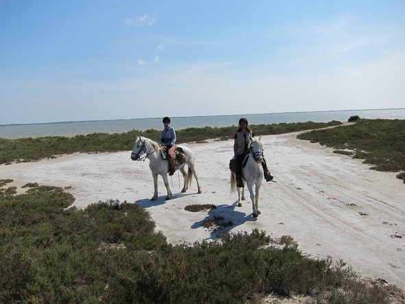 randonnee equestre en Camargue