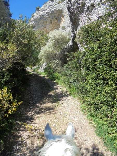 randonnee a cheval en provence dans le Luberon