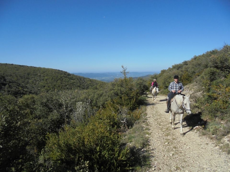 randonnee cheval provence