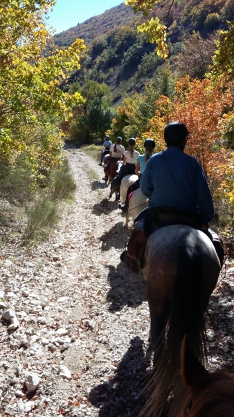 randonnées provence Route napoléon