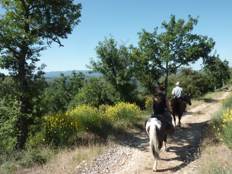 à cheval sur la route de napoléon