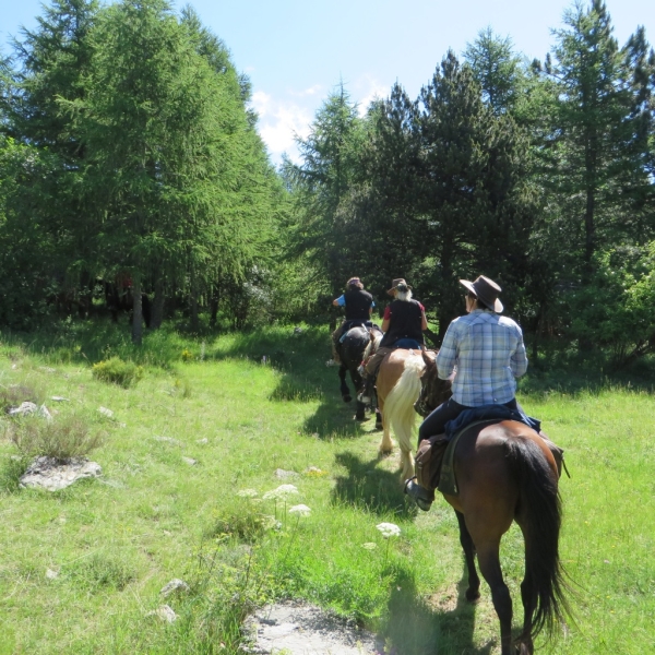 La provence à cheval