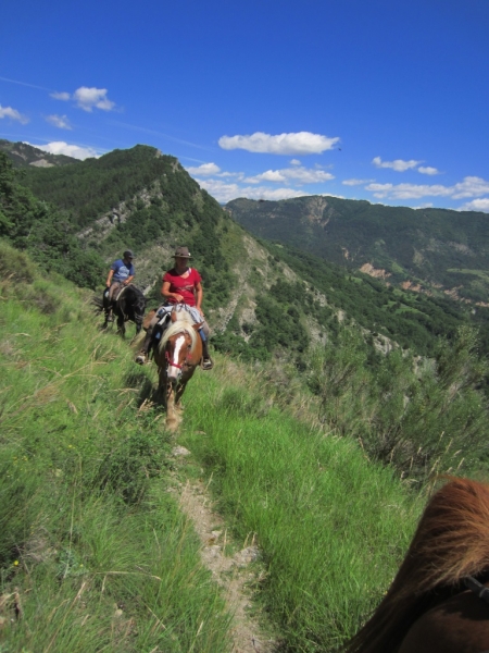 les traces de napoléon à cheval en provence