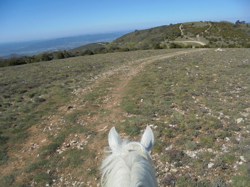 randonnee a cheval mont ventoux