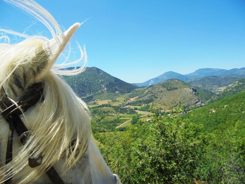 randonnee a cheval baronnies