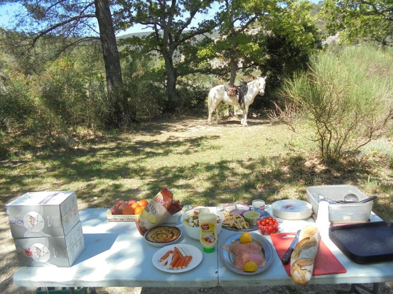 randonnee a cheval lavande