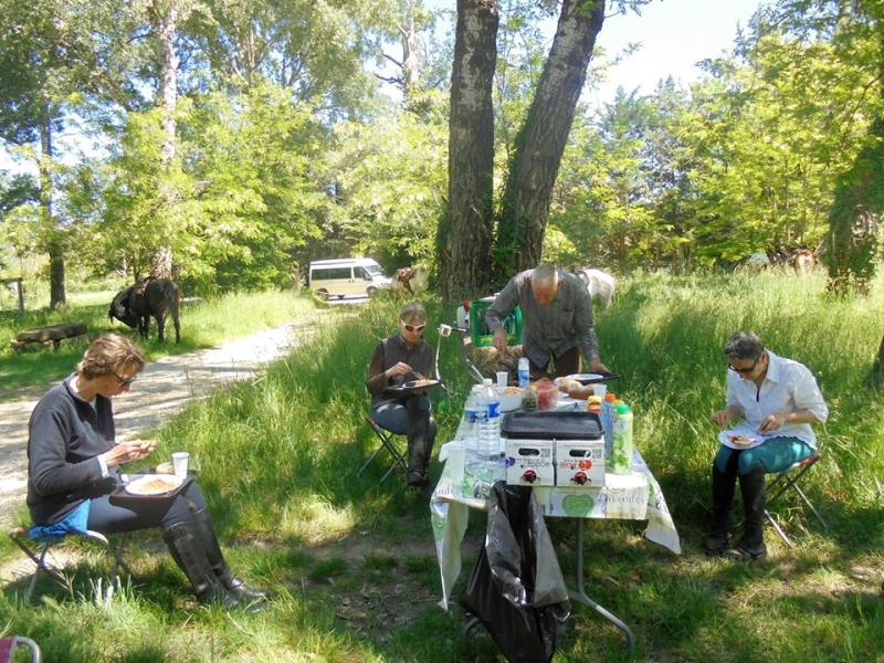 randonnee equestre vaucluse