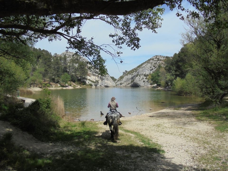 randonnee a cheval dans les alpilles