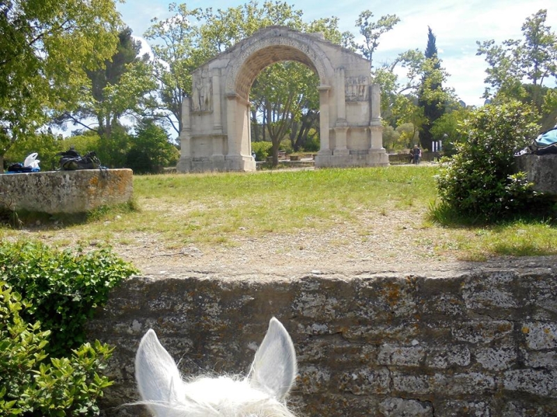 voyage a cheval en provence