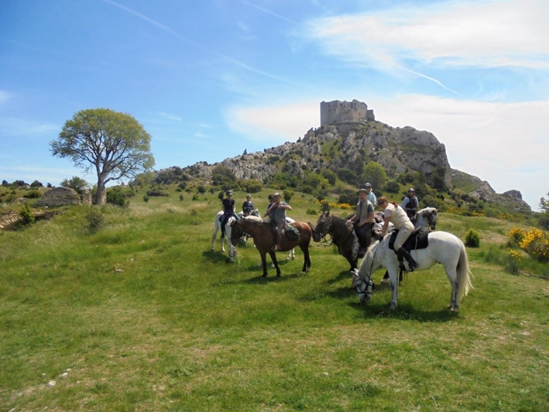 rando cheval alpilles