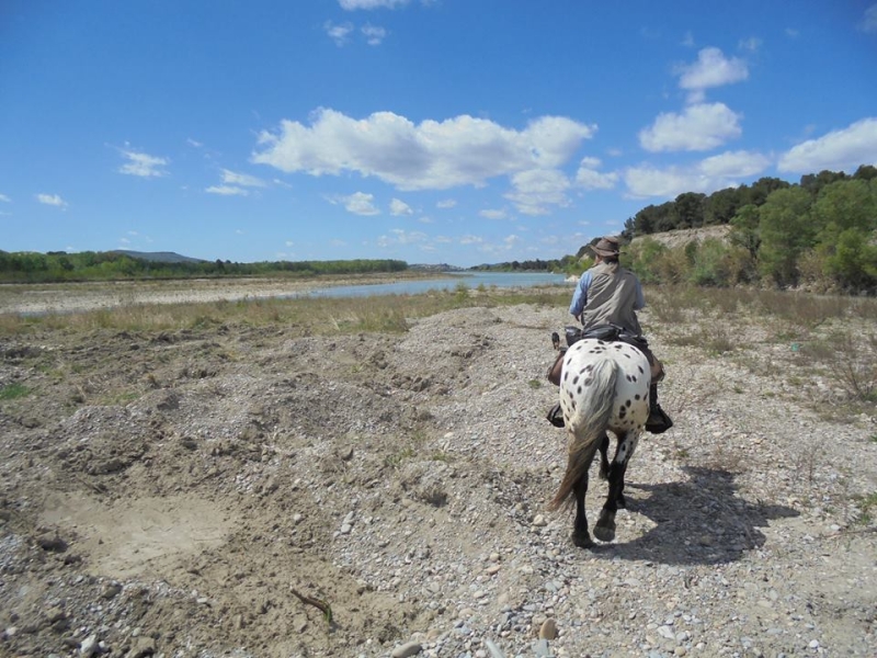 provence a cheval