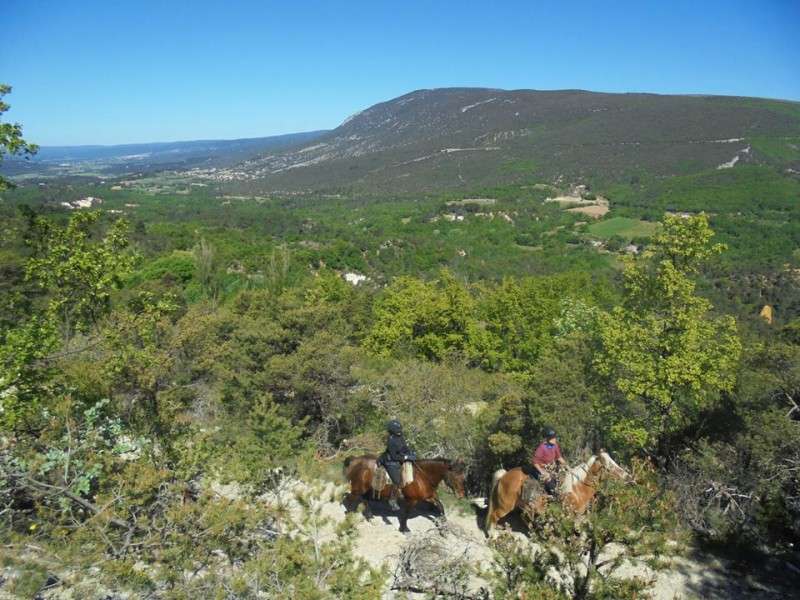 randonnée cheval Provence
