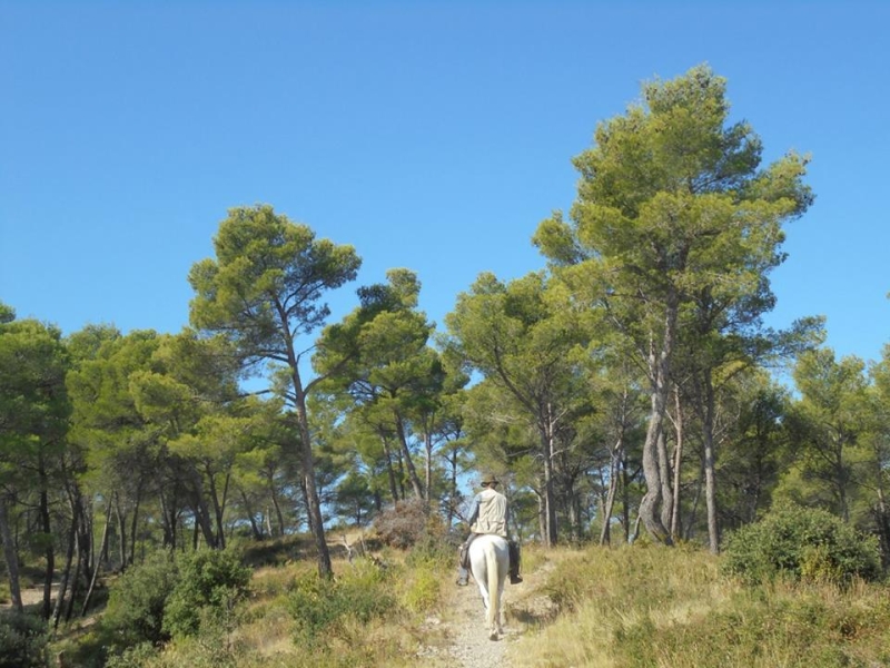 rando cheval en Provence