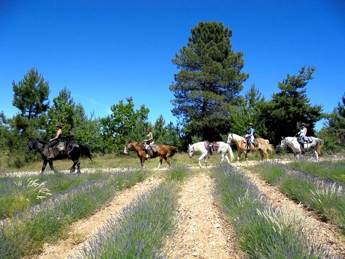 randonnee equestre verdon