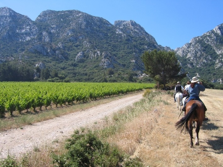 randonnée à cheval dans les alpilles