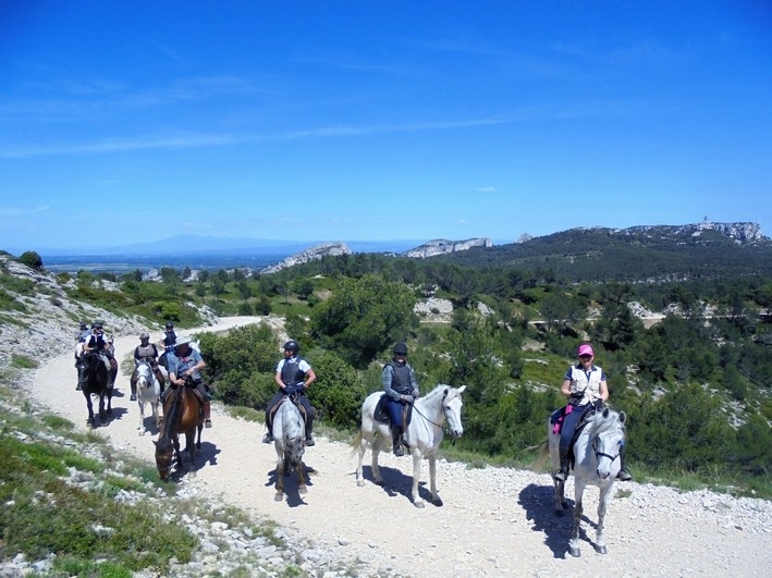 alpilles a cheval