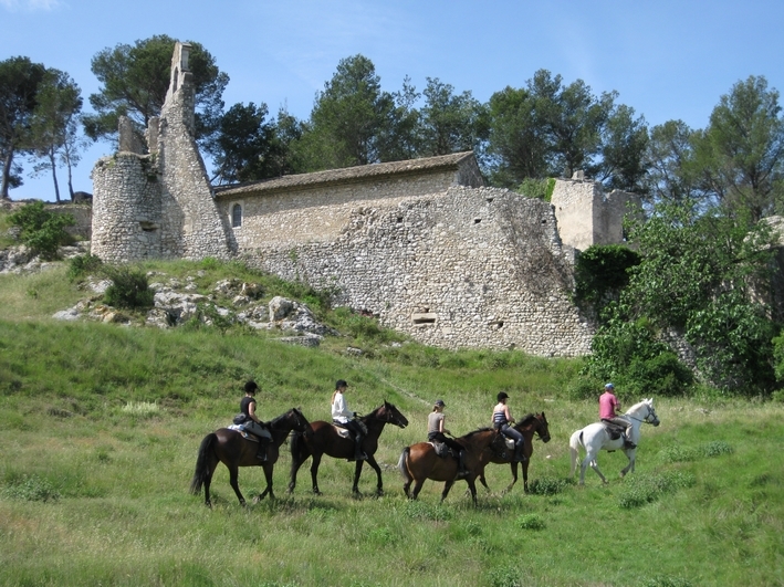 rando a cheval alpilles