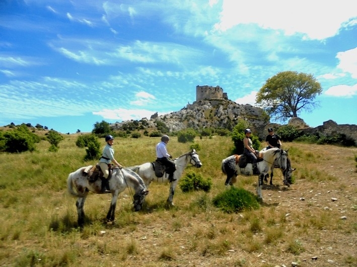 randonnée équestre dans les alpilles