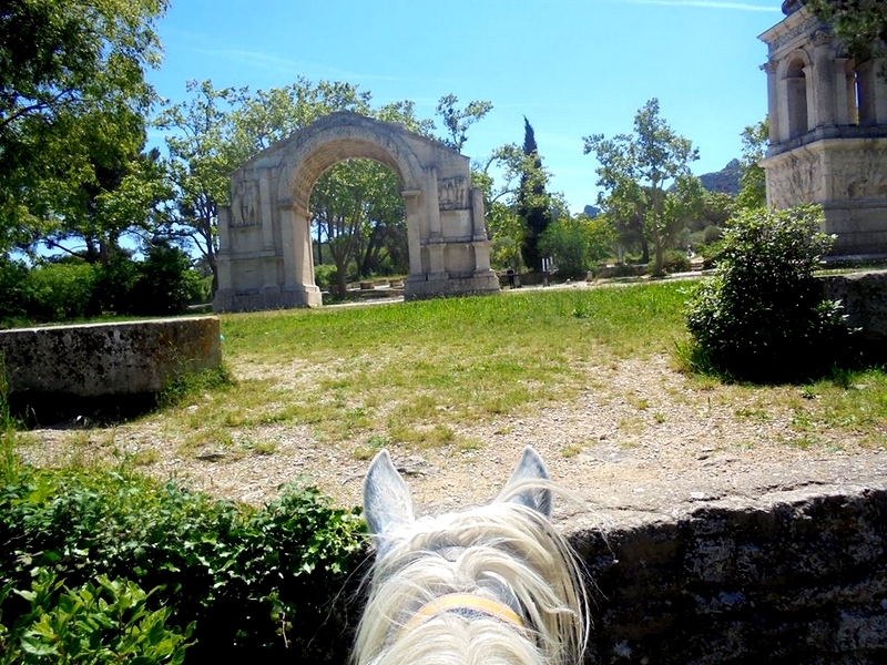 horseback trail ride in Provence