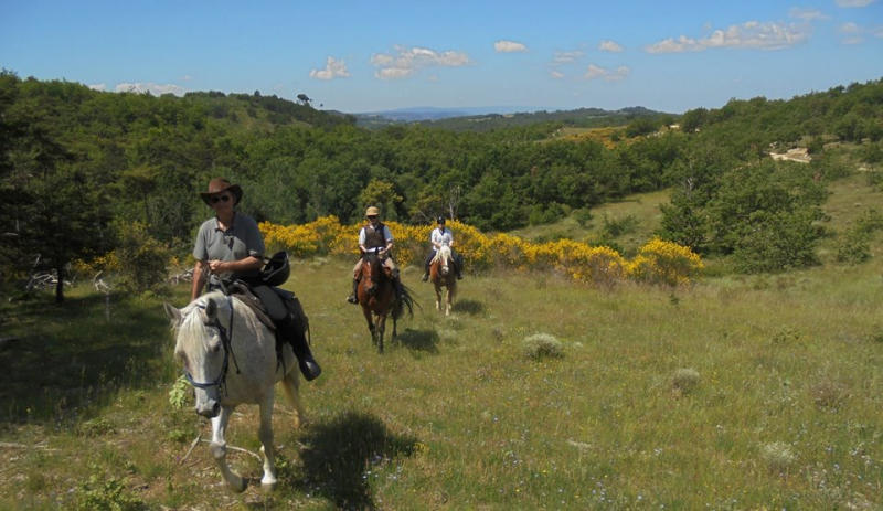 horse riding trip in Provence