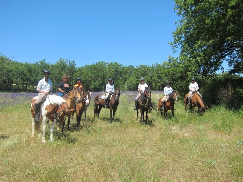 transhumance a cheval