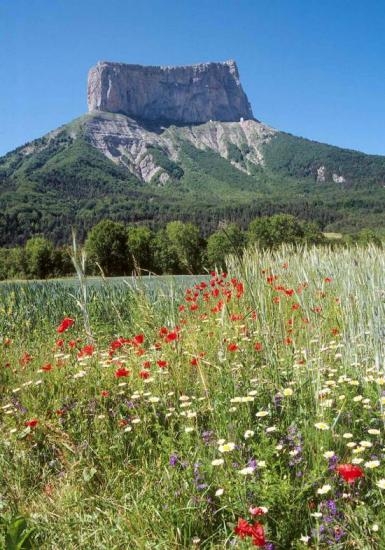 rando a cheval vercors