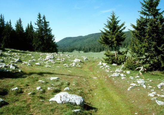 rando a cheval dans le vercors