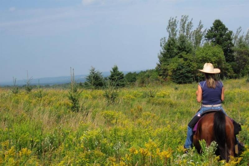 rando a cheval quebec canada