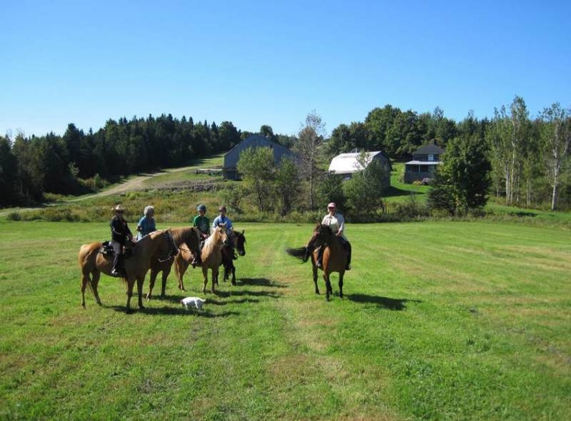 randonnee equestre au quebec