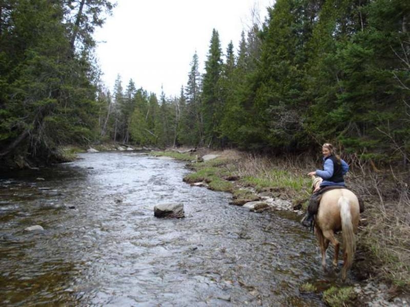 randonnee a cheval au canada