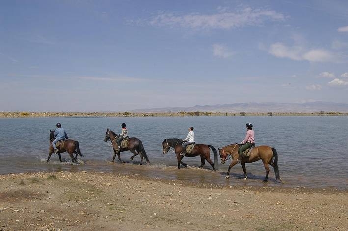 rando a cheval Andalousie