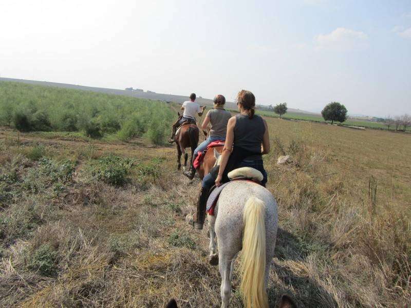 randonnee a cheval en Toscane