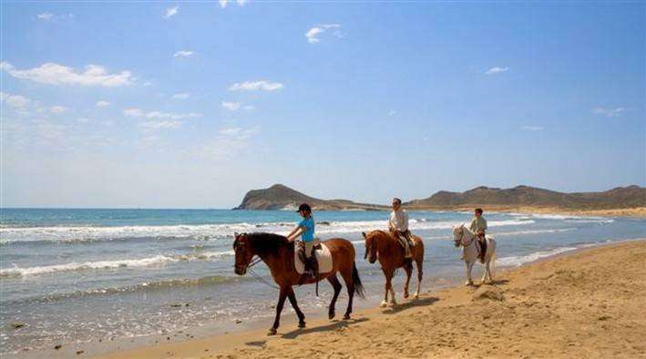 cheval sur les plages en andalousie