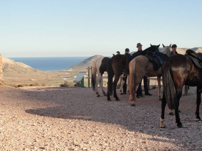 stage equitation andalousie