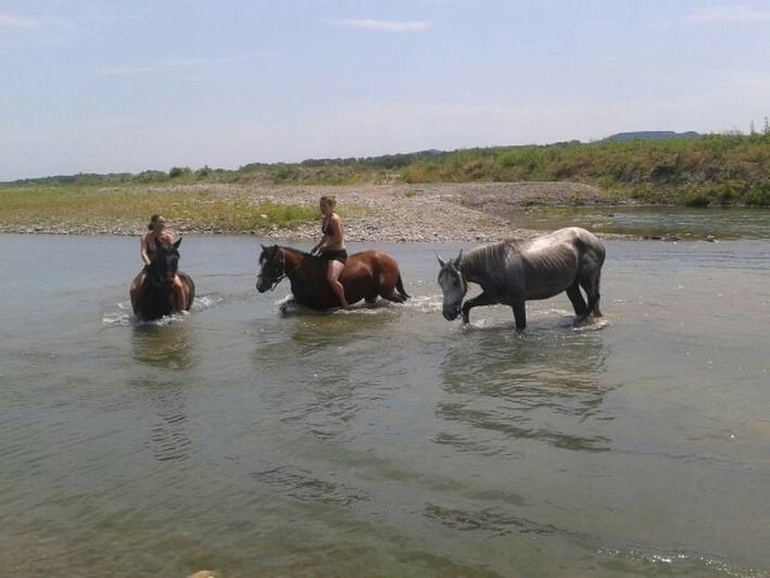 randonnee equestre Luberon