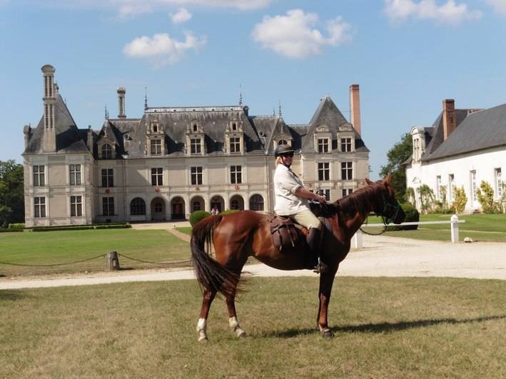 cheval et chateaux