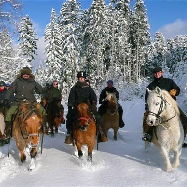 randonnee a cheval dans la neige