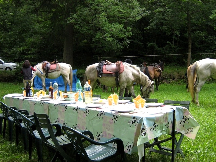 rando equestre lozere