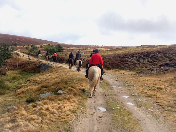 randonnee a cheval cevennes