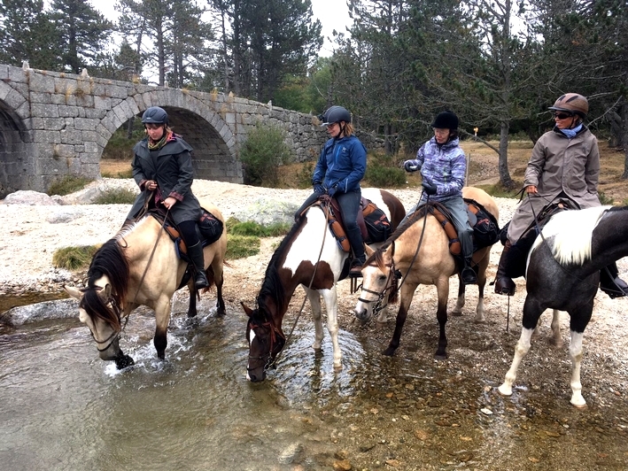 cevennes a cheval