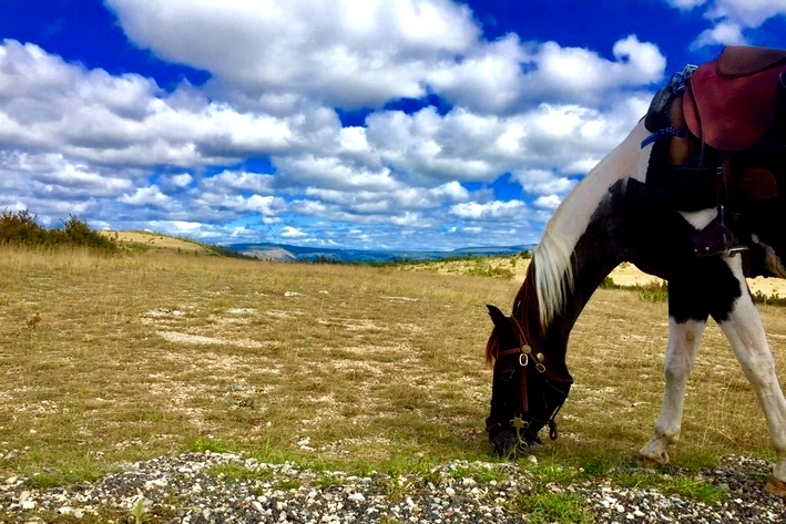 rando a cheval dans les cevennes