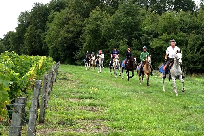 voyage a cheval chateaux de la loire