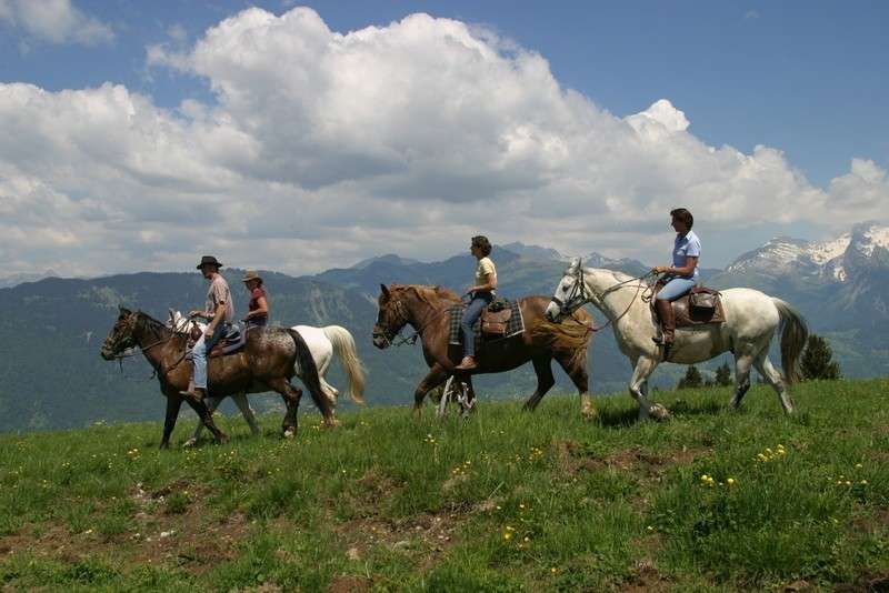 rando a cheval dans les Alpes